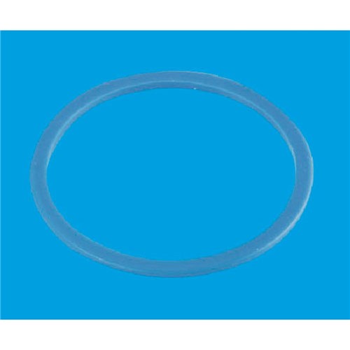 PWM1 Mca 1.25" Plastic Washer Blue